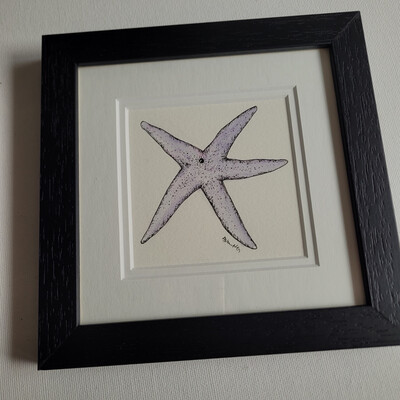 The Beach Collection- Starfish