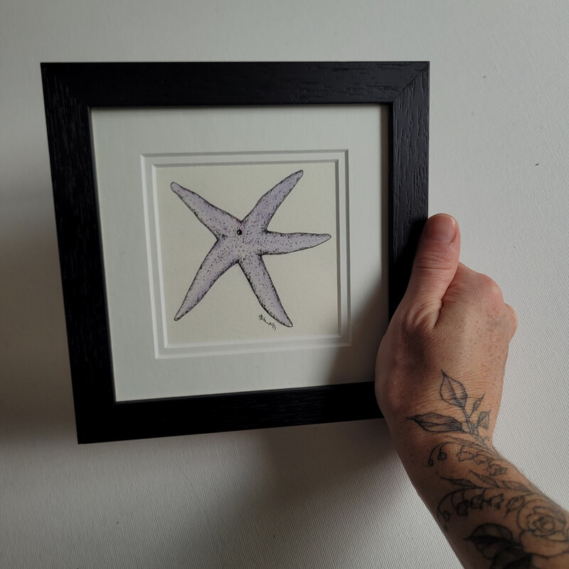 The Beach Collection- Starfish