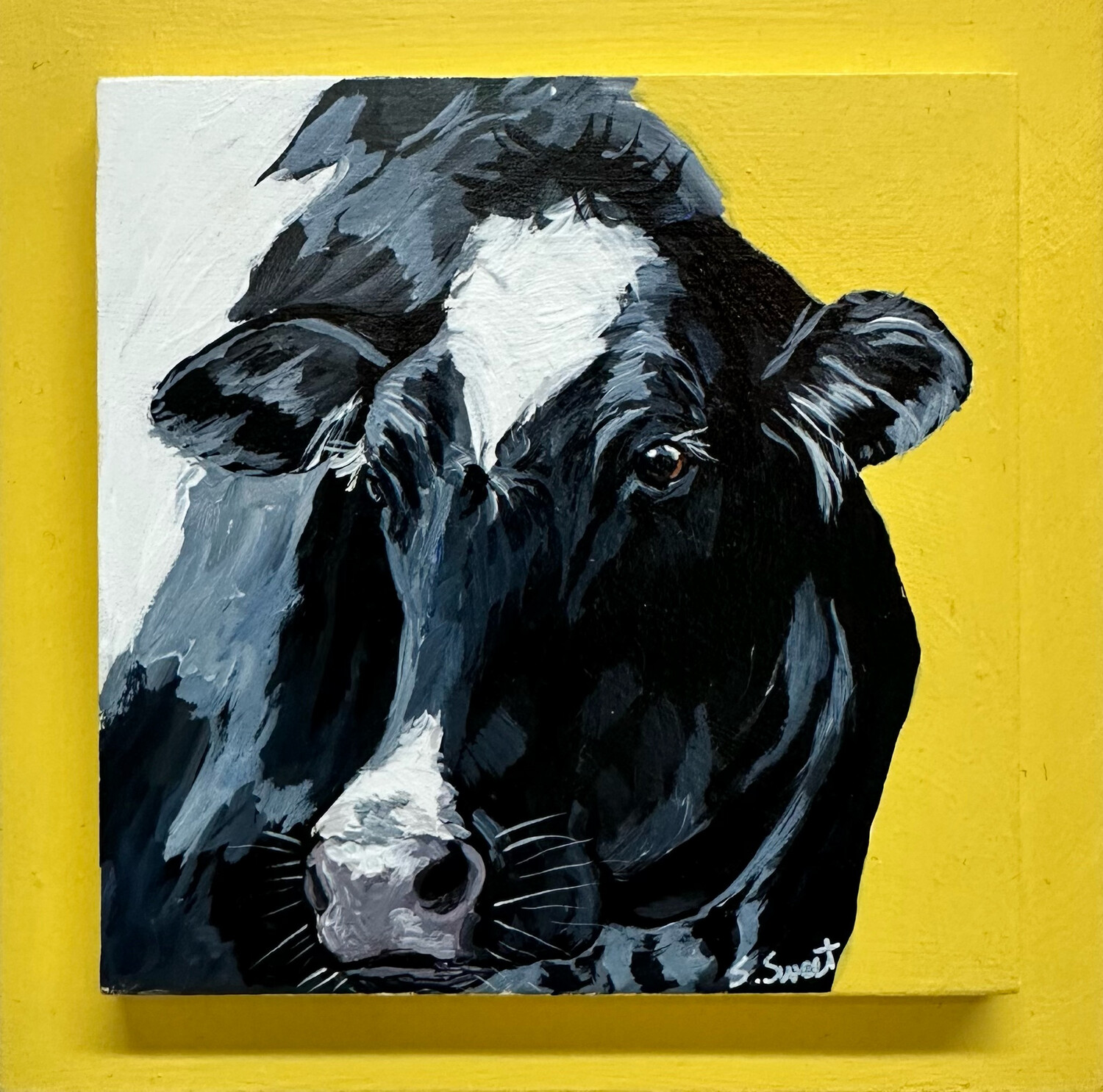 Gabriela - Holstein Cow on Yellow