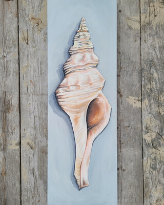 Peach, Shell 