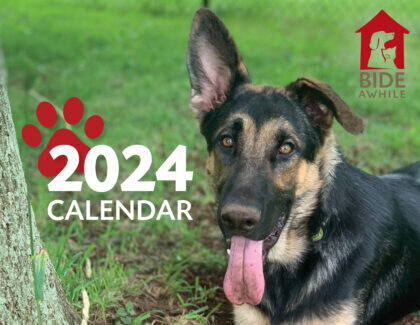 Bide Awhile Calendar 2024