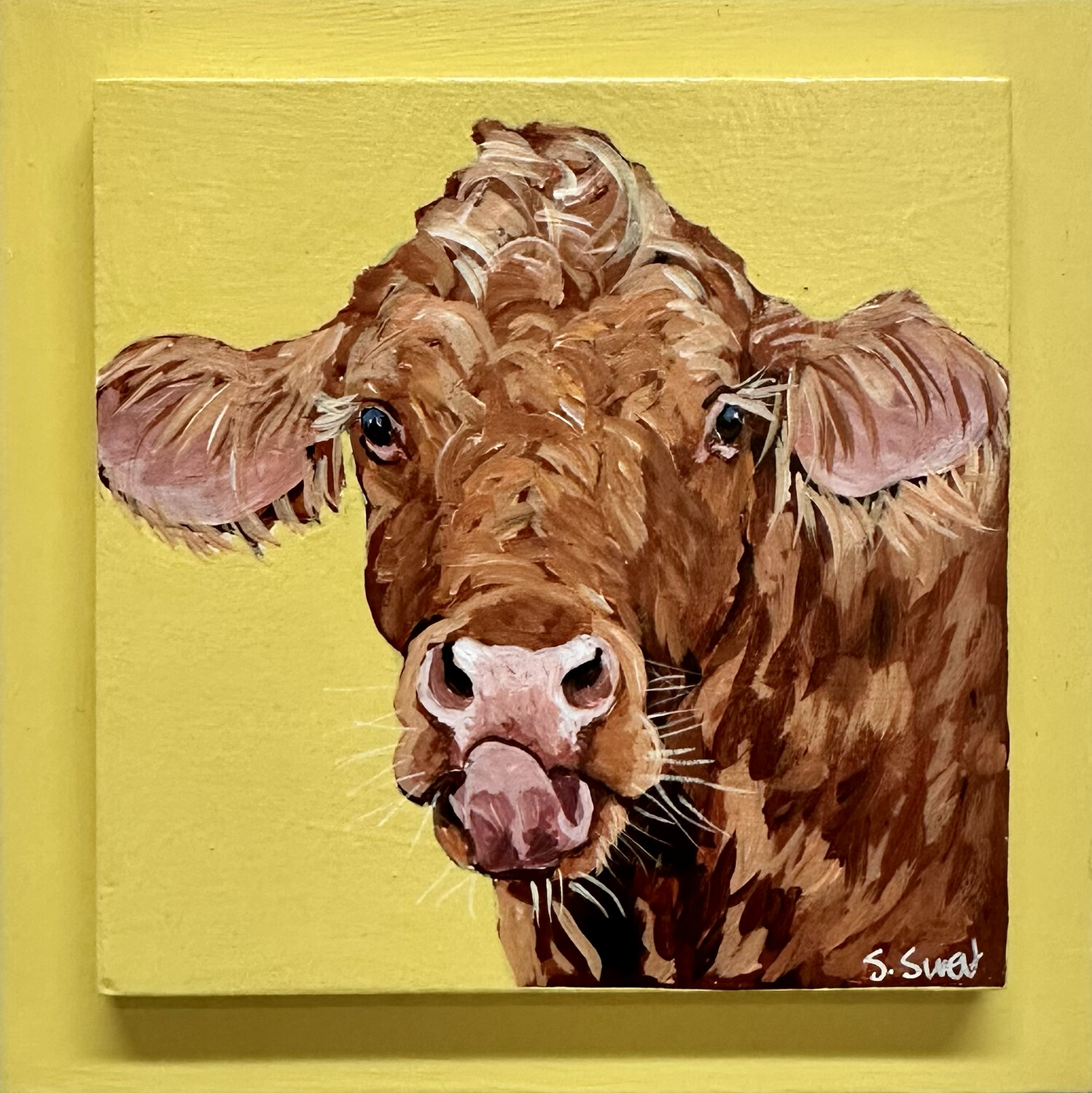 Donna the beef cow on Yellow
