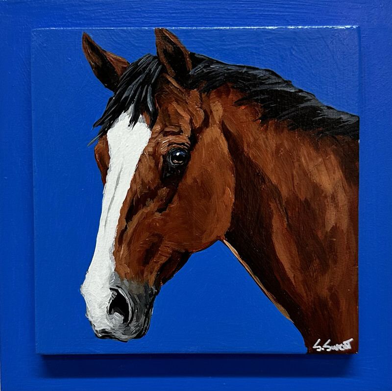 Dorcus the Horse on Bright Blue