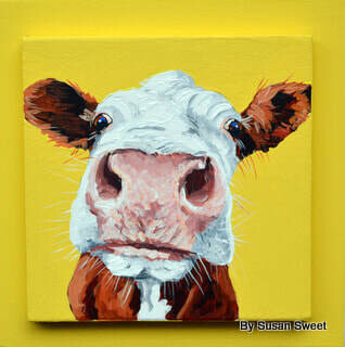 Penny Royal the Hereford on Yellow
