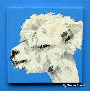 Oregano the Alpaca on Bright Blue