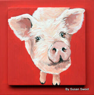 Herbie the Pig on Red
