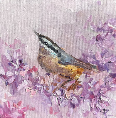 Gotta be Me, Nuthatch 