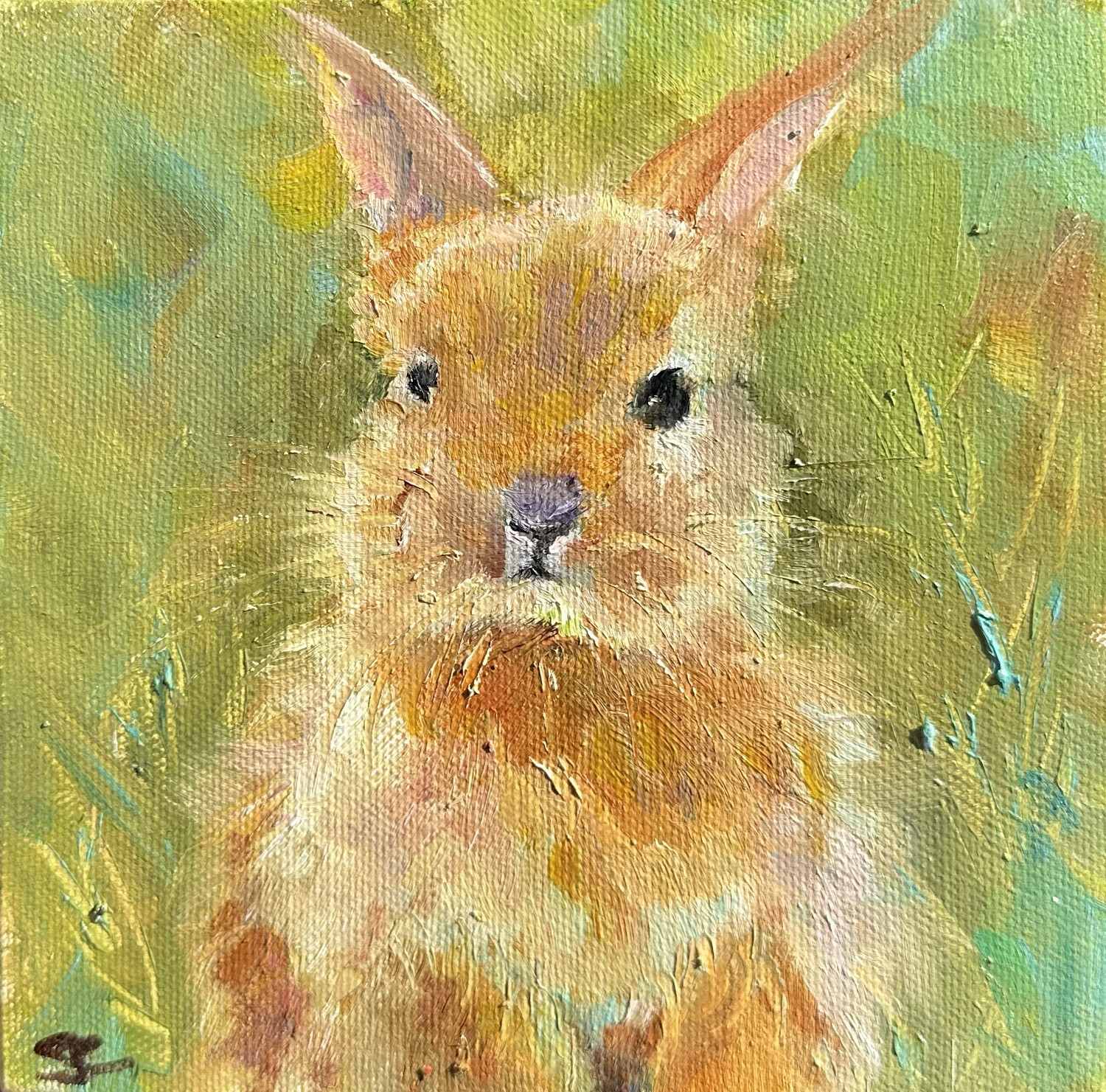 Surprise, Bunny 