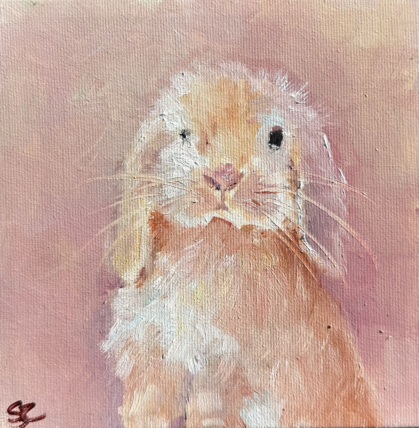 Cutie Pie, Bunny