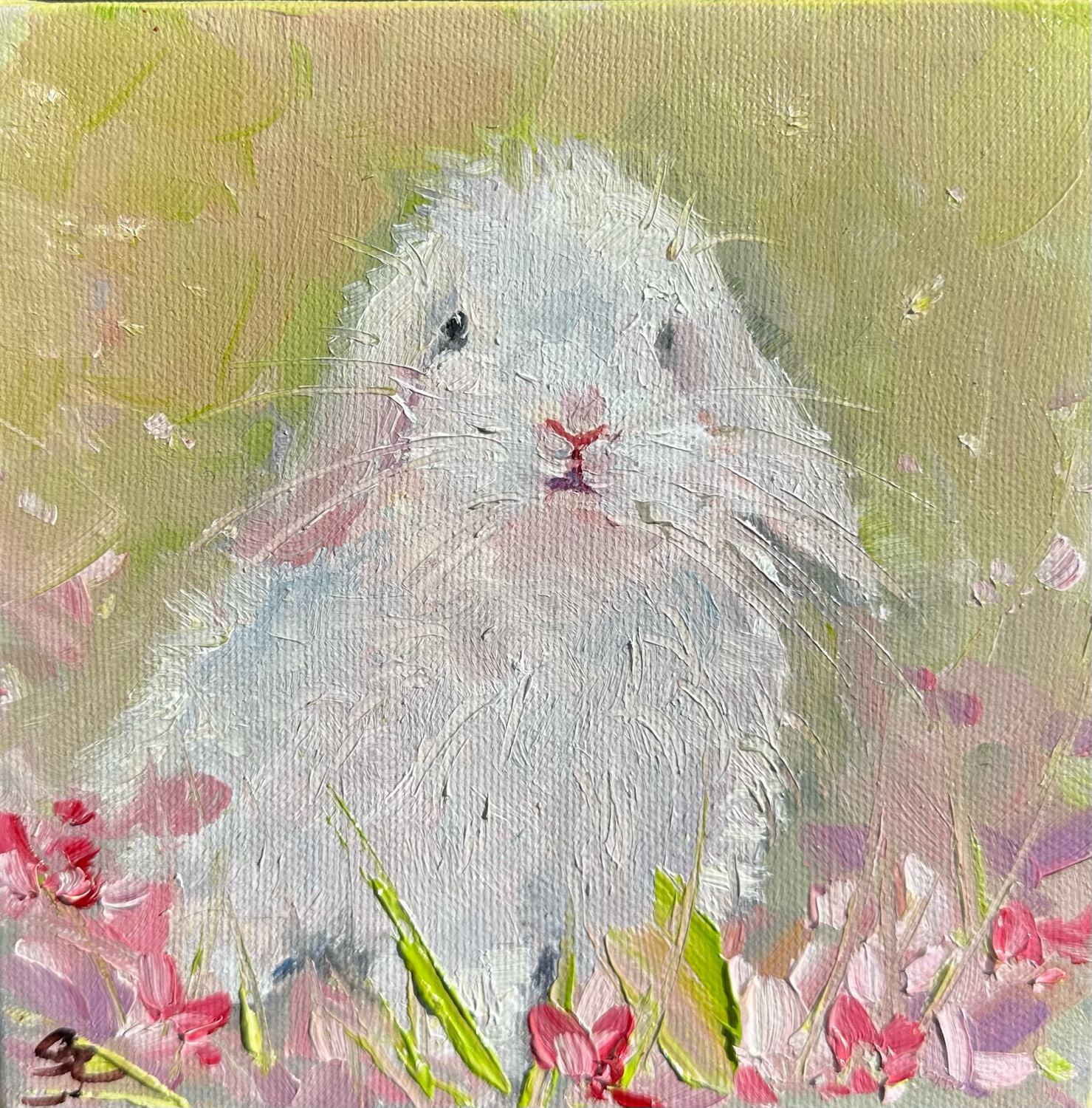 Fluffy, Bunny