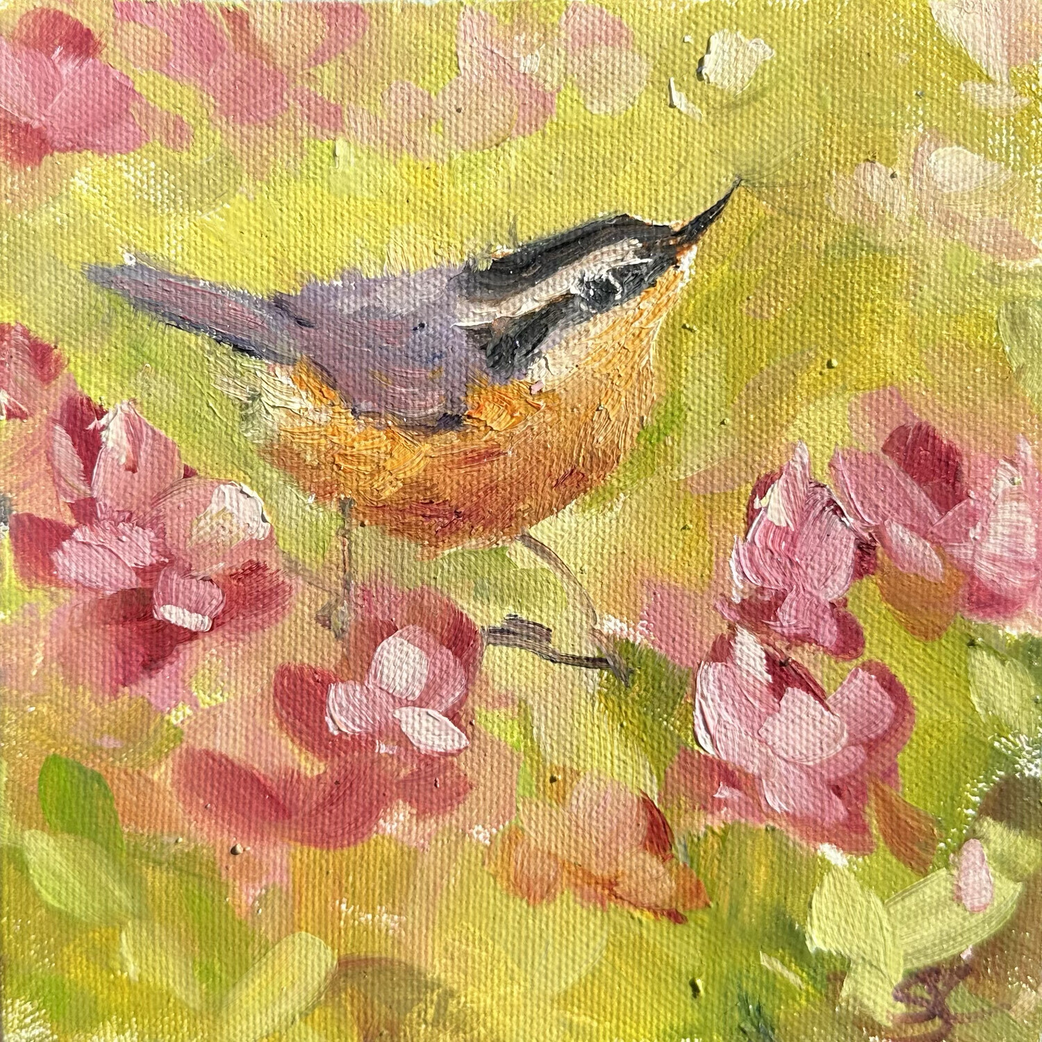 Bright and Breezy, Nuthatch