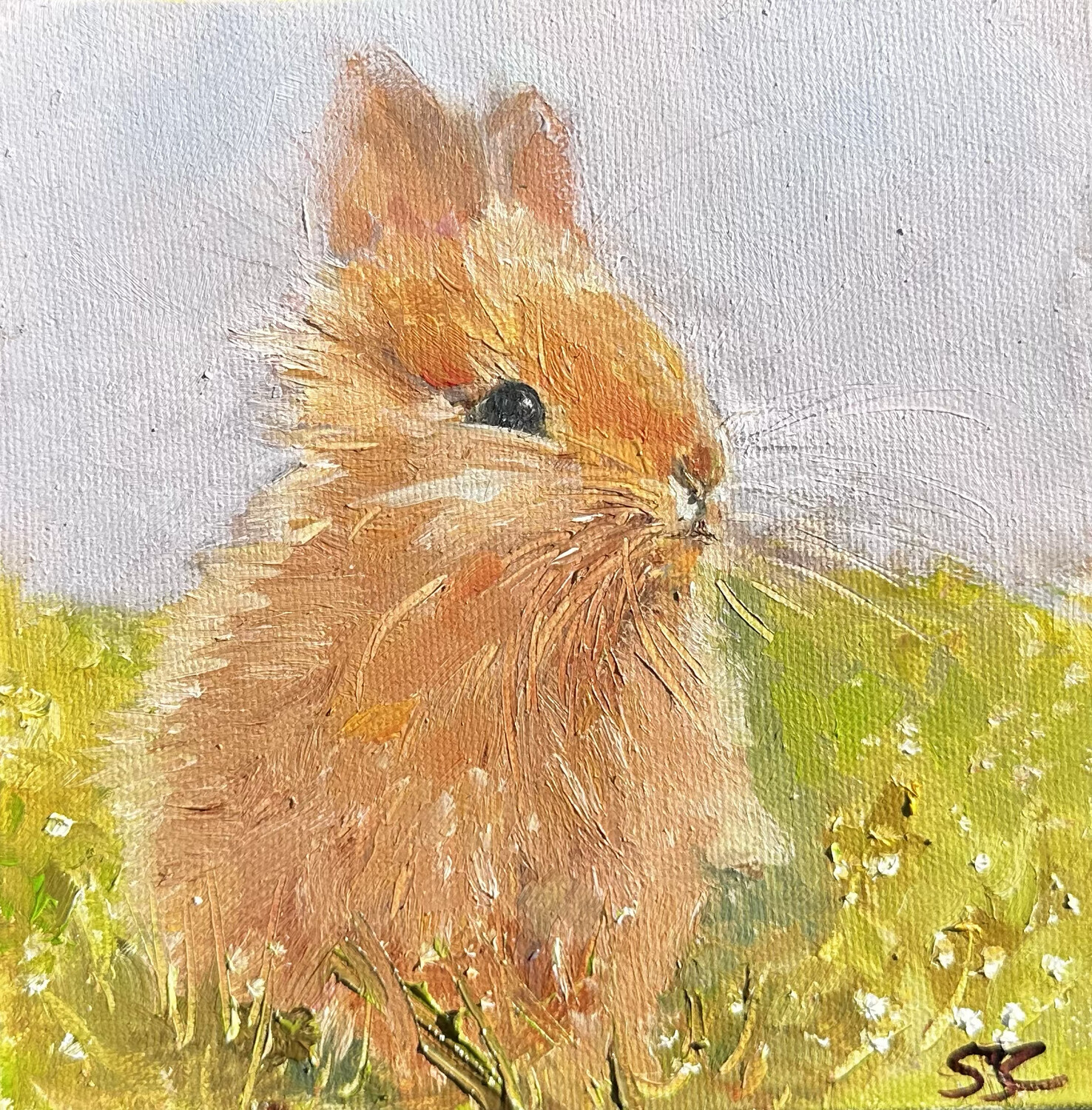 Hunny Bunny