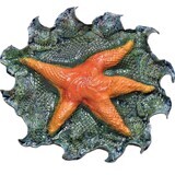 Starfish Dancing in the Sea-  Mary Jane Lundy