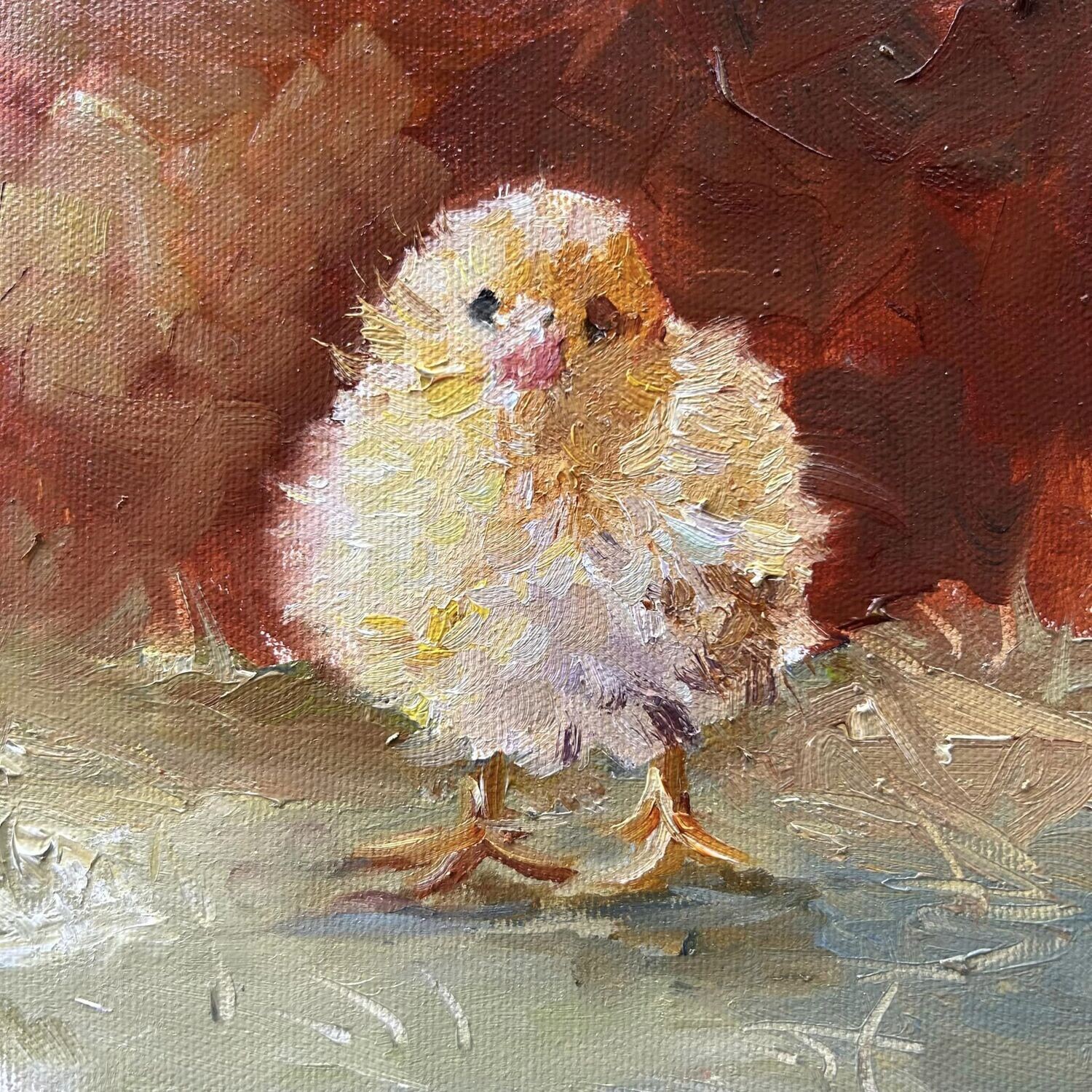Spring Chicken