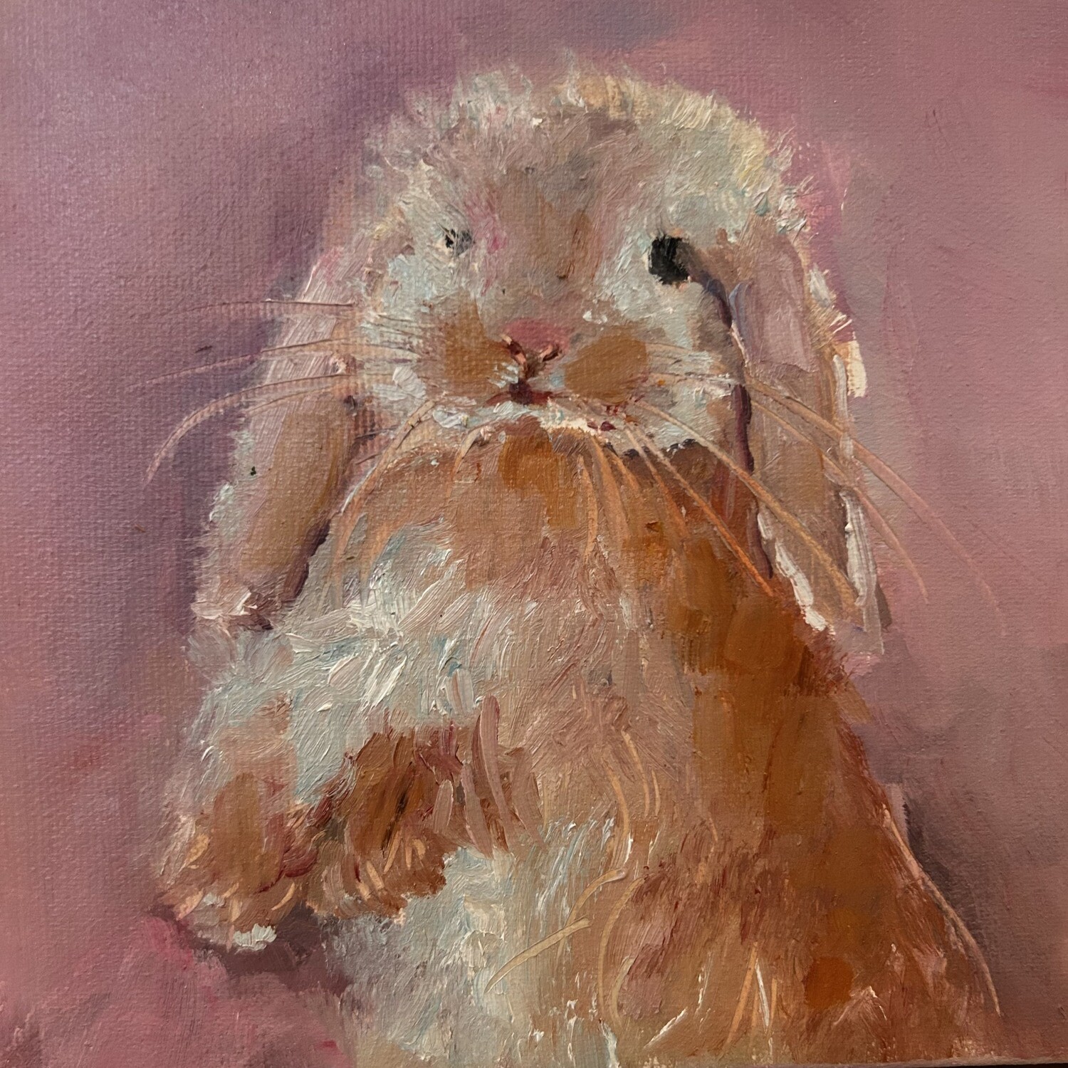 Hippity Hoppity Hippity Hoppity