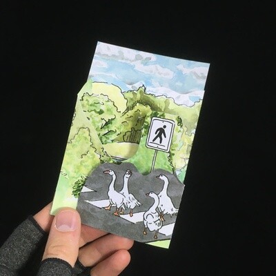 Sullivan&#39;s Pond Tri-fold Card- Bardbardbard