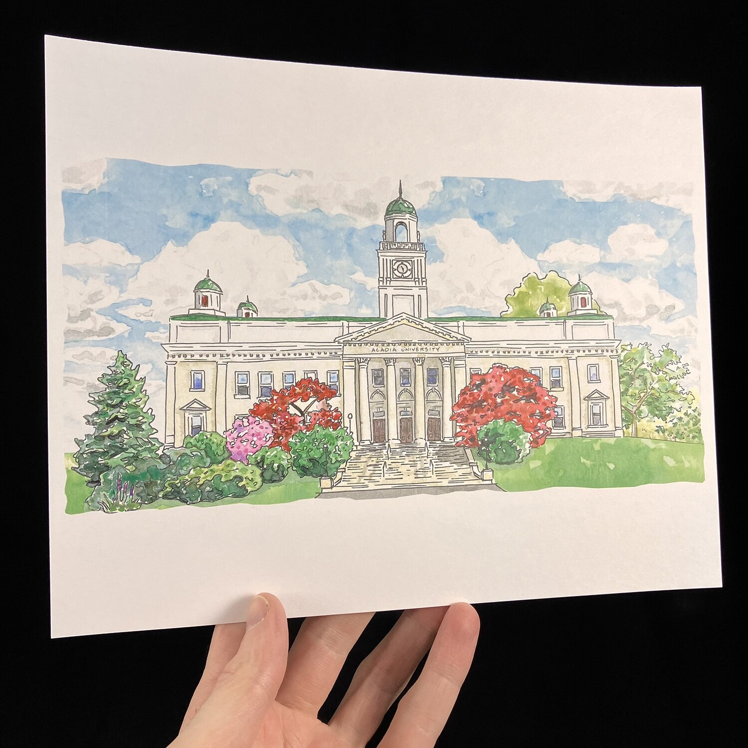 Acadia University Print- Bardbardbard