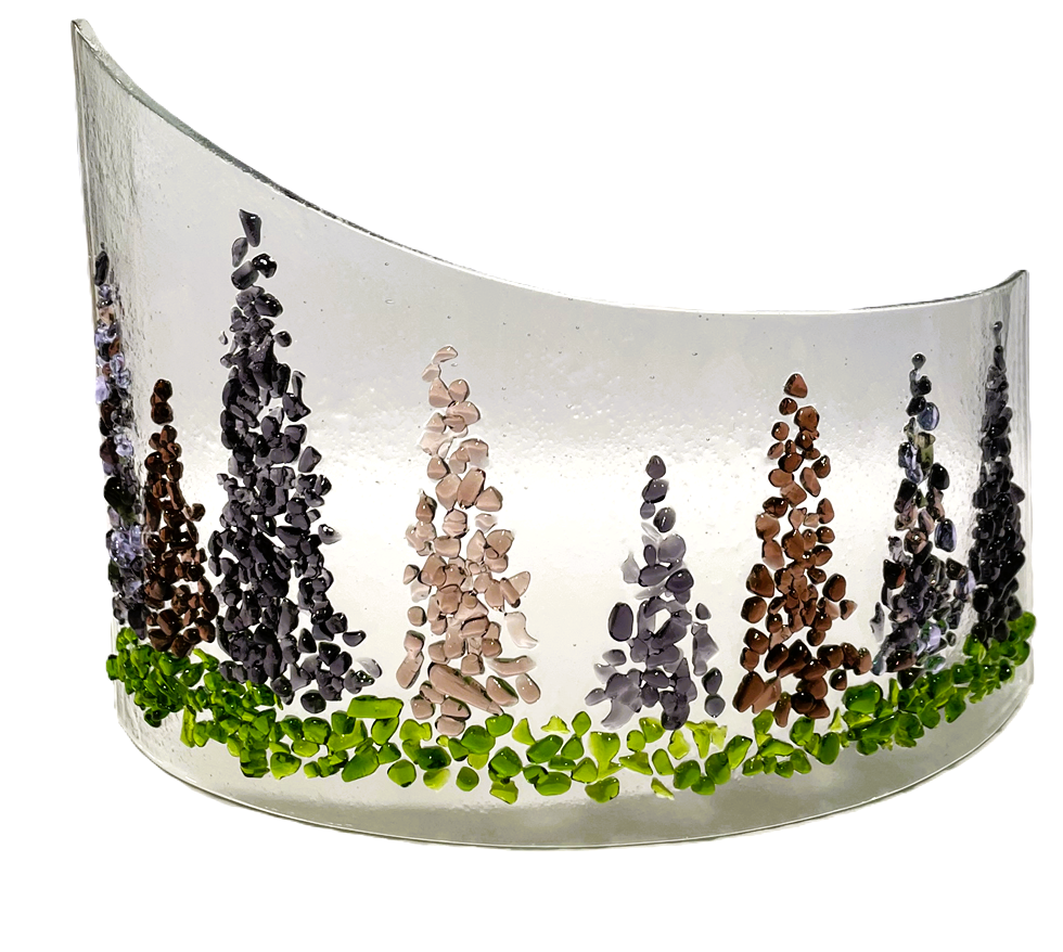 Lupins Large Curve- Canoe Cove