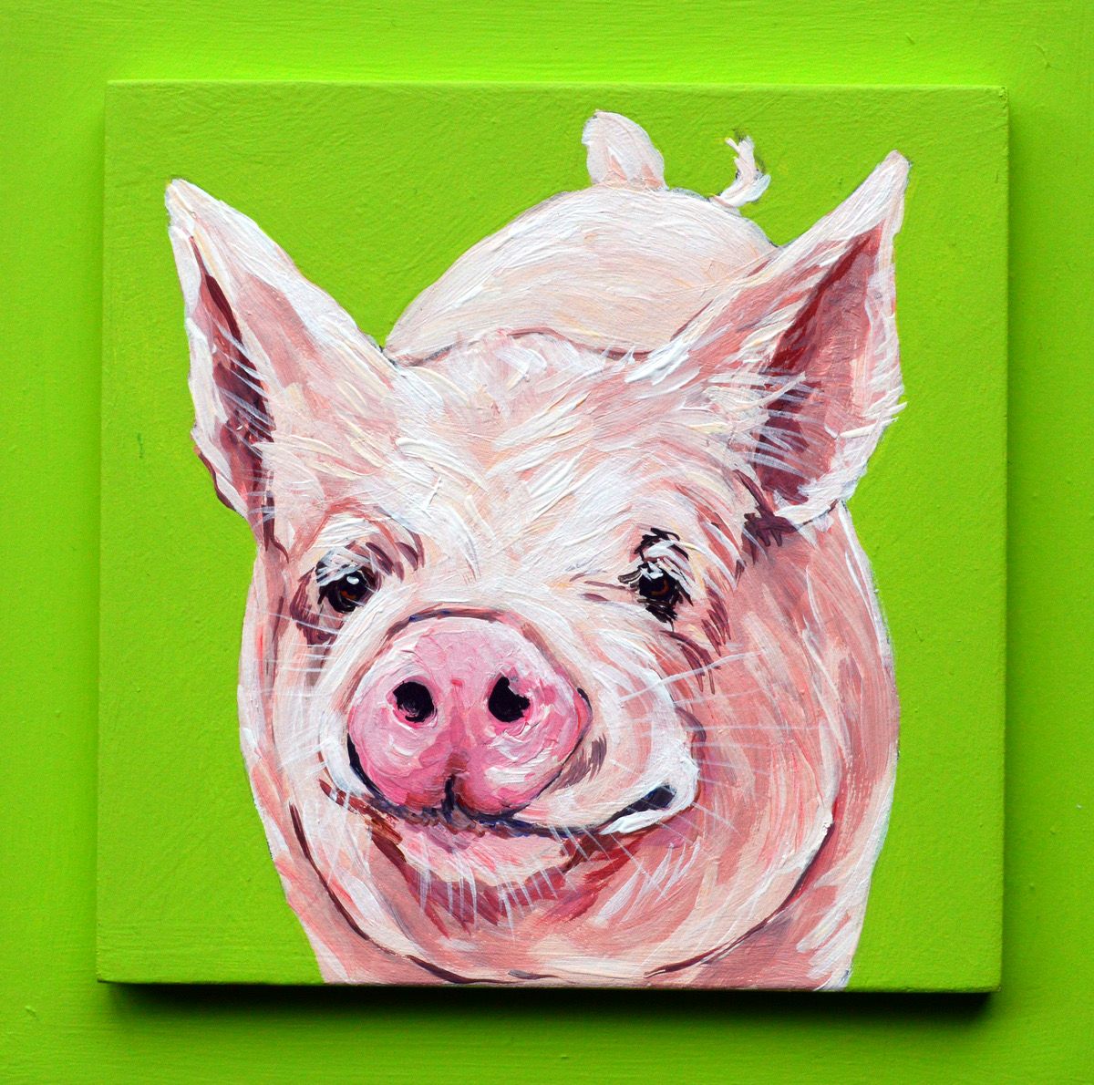 Auburn the Pig on Green