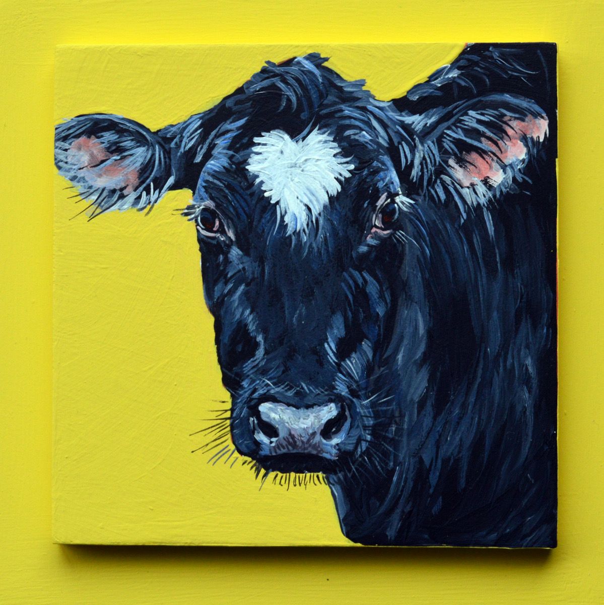 Brooke the Holstein on Yellow 