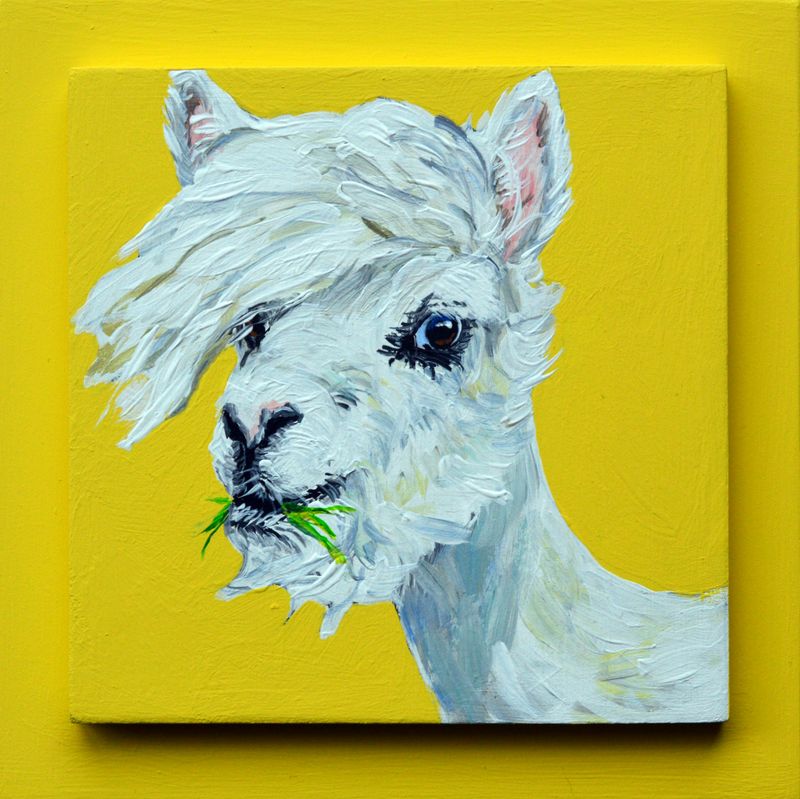 Apple the Alpaca on Yellow