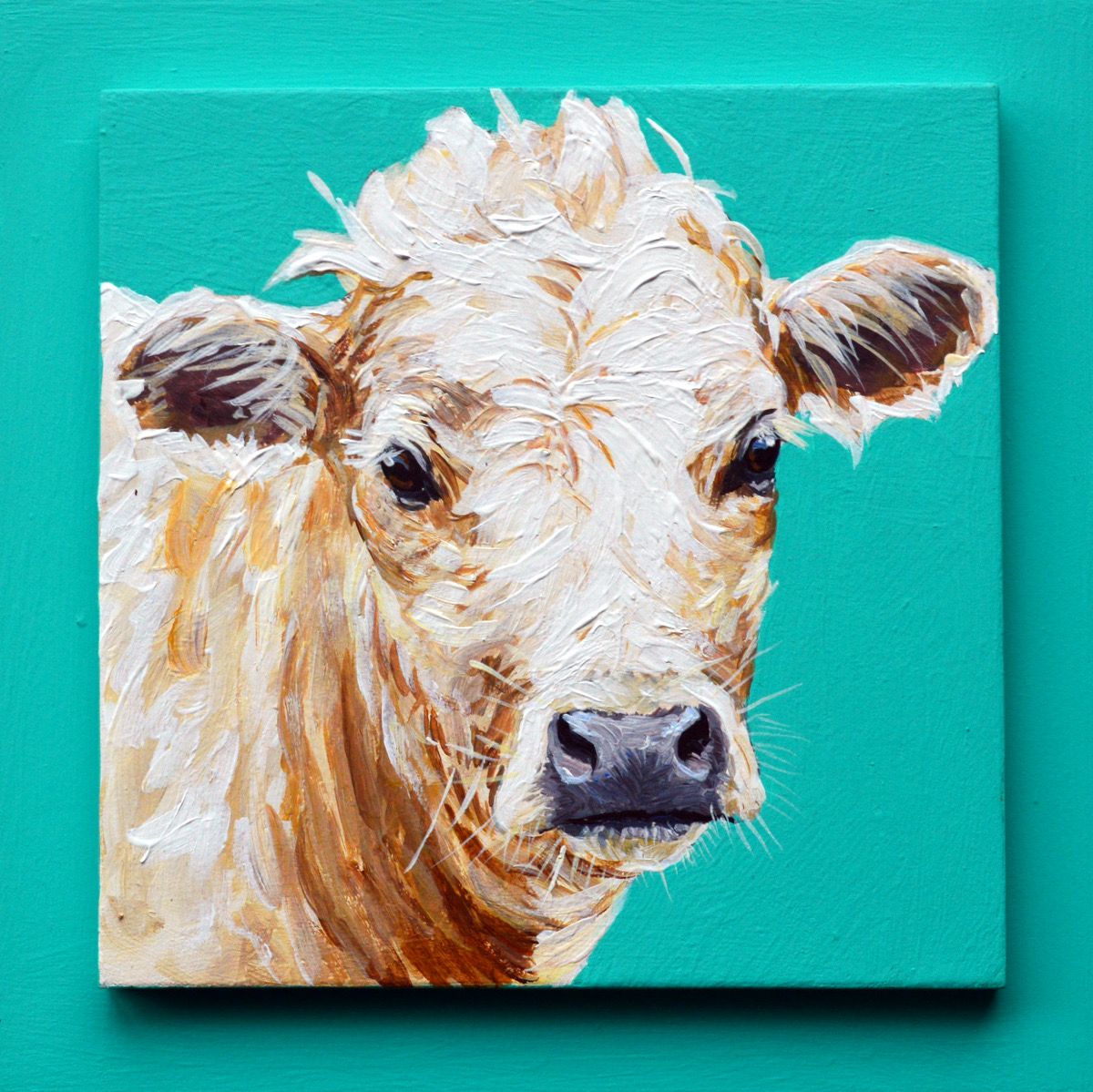 Baxter the Steer on Teal 