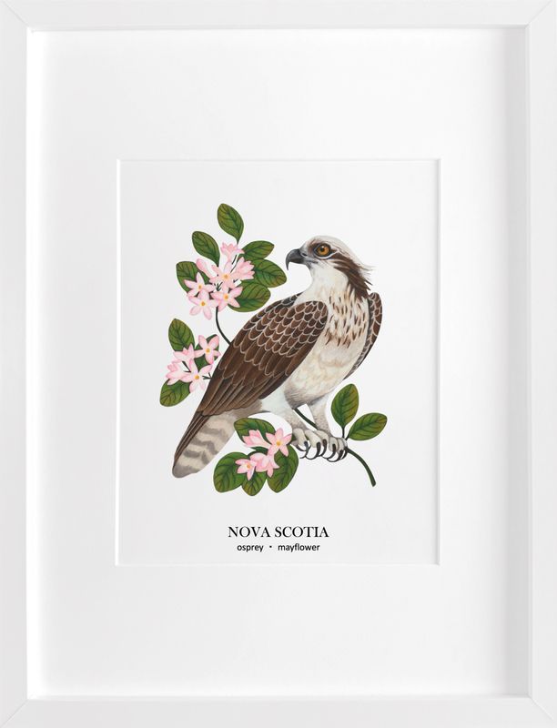 Osprey and Mayflower Print- Jessica Connors