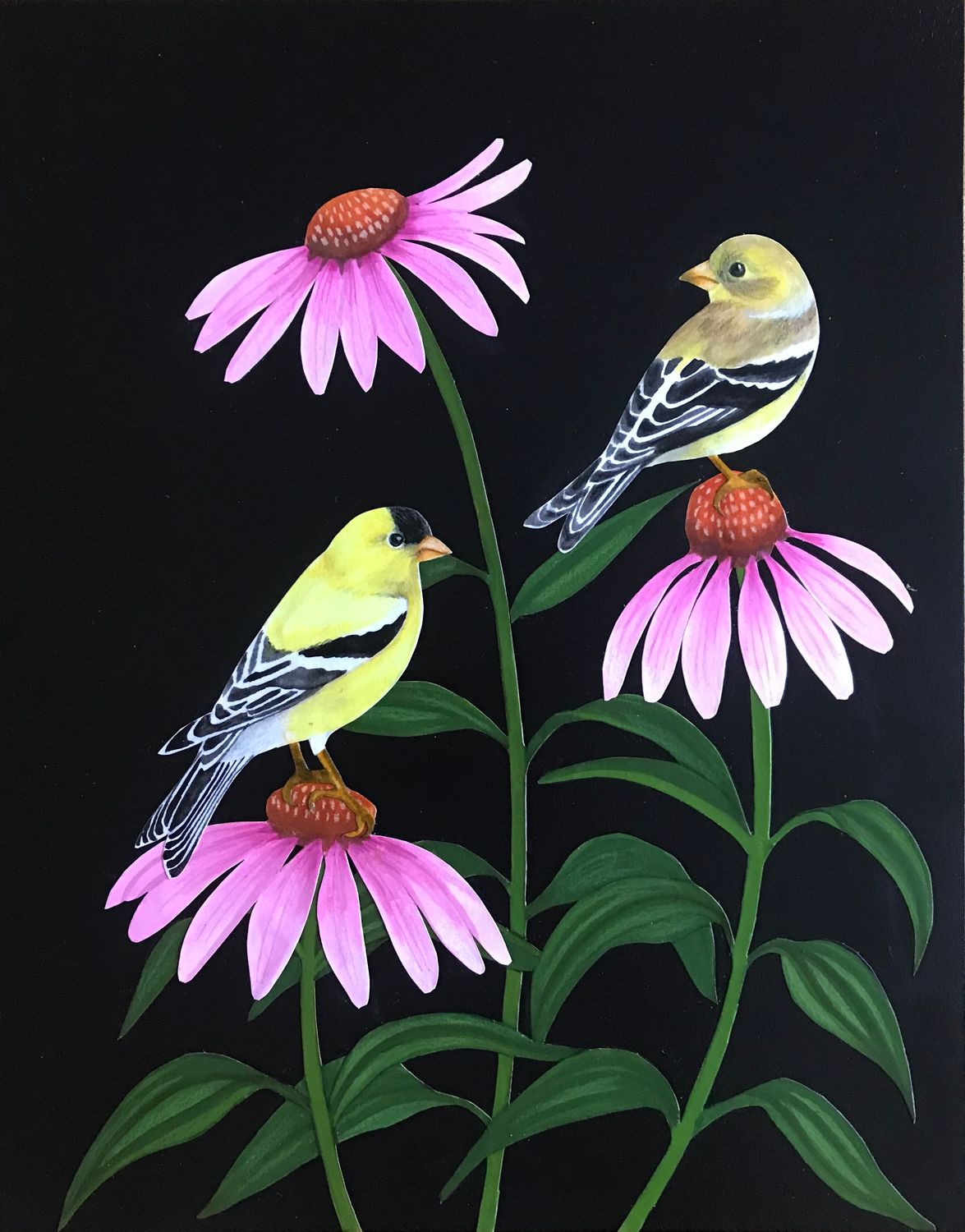 Goldfinches in Coneflower #1 Goldfinches in Coneflower #1
