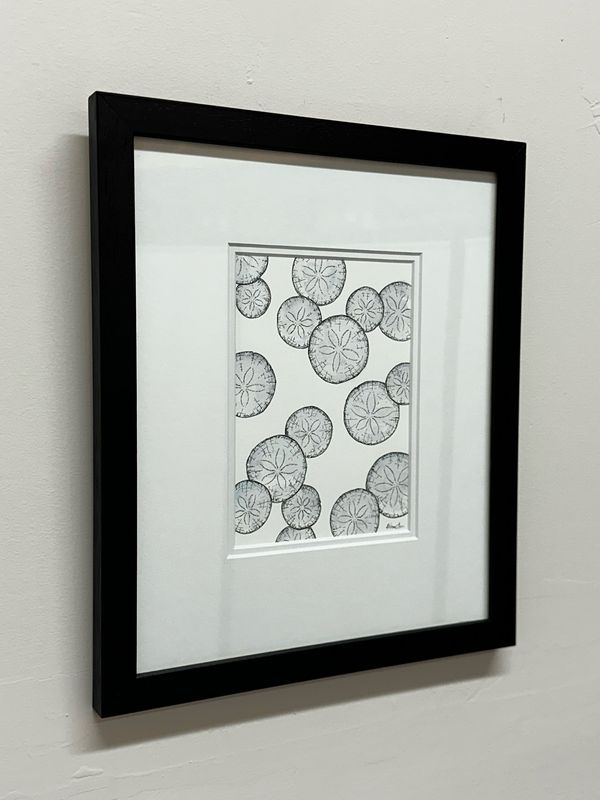 A Collection of Sand Dollars