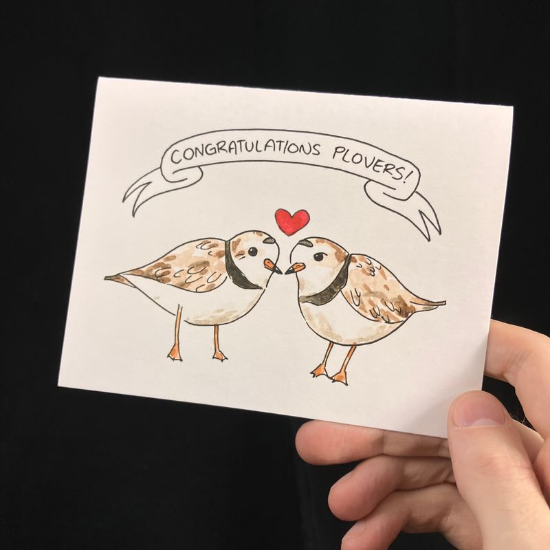 Congratulations Plovers Flat Card- Bardbardbard
