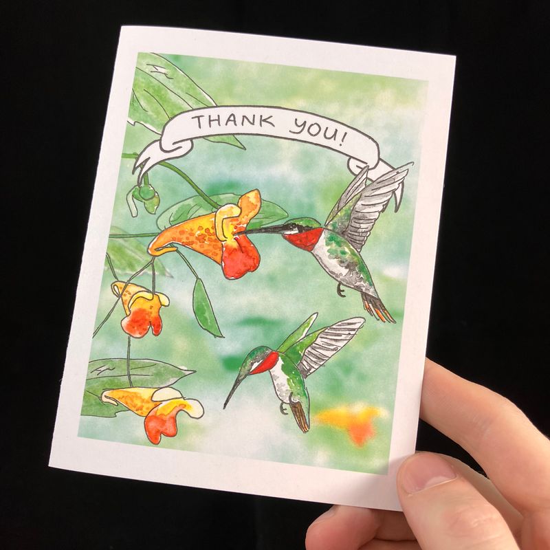 Hummingbird Thank You Flat Card- Bardbardbard