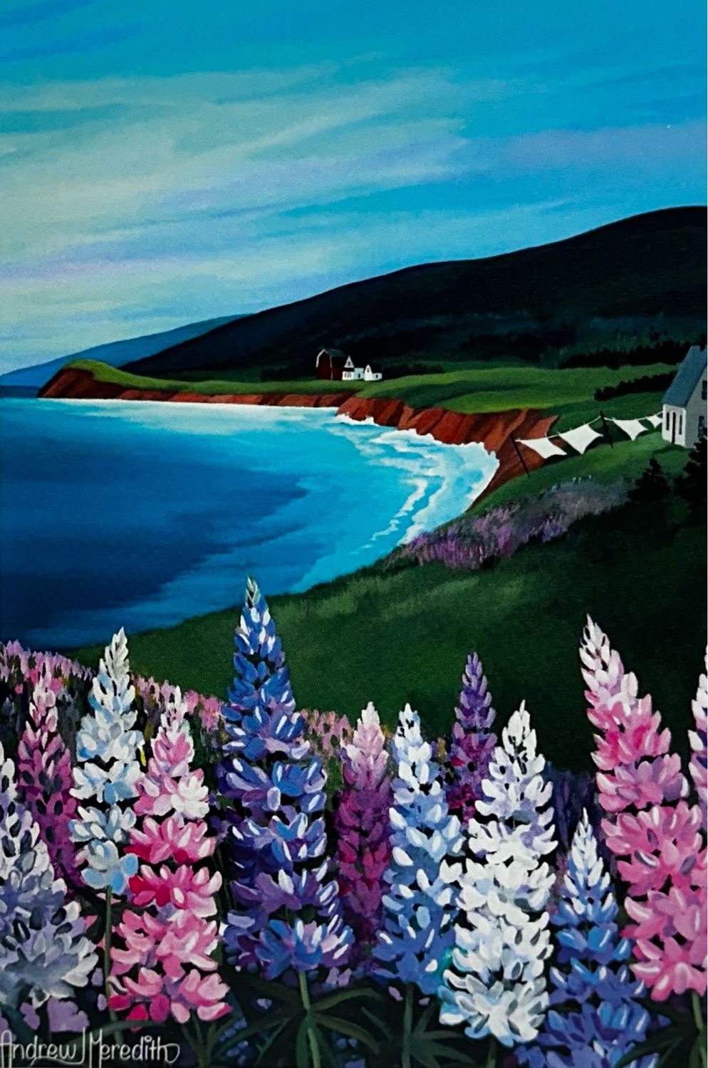 Lupines at Whale Cove Card - Andrew Meredith 