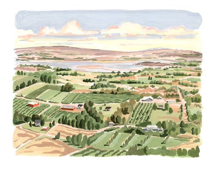 Blomidon Look-off Print 8&quot; x 10&quot; Kat Frick Miller 
