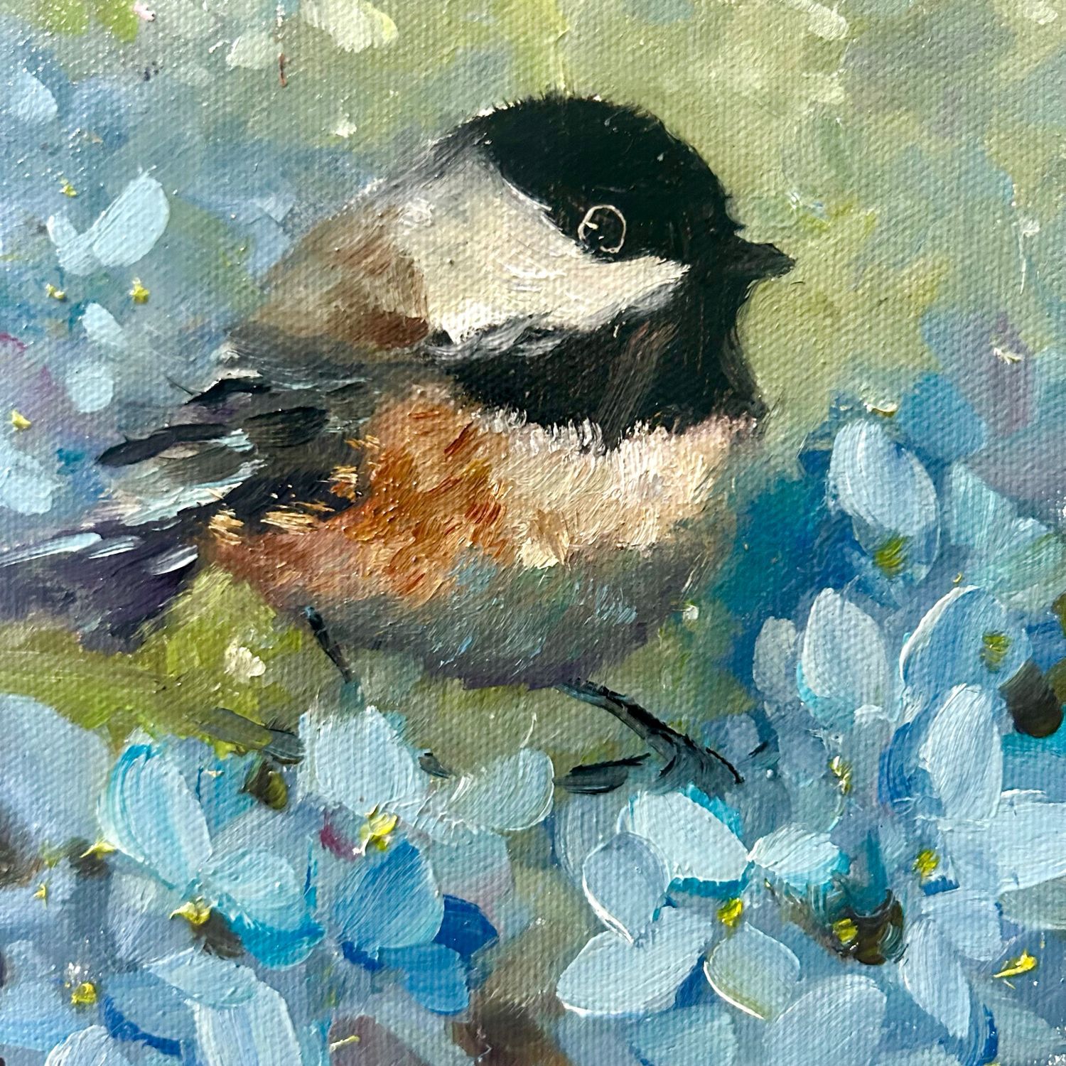 Single Lady Single Lady