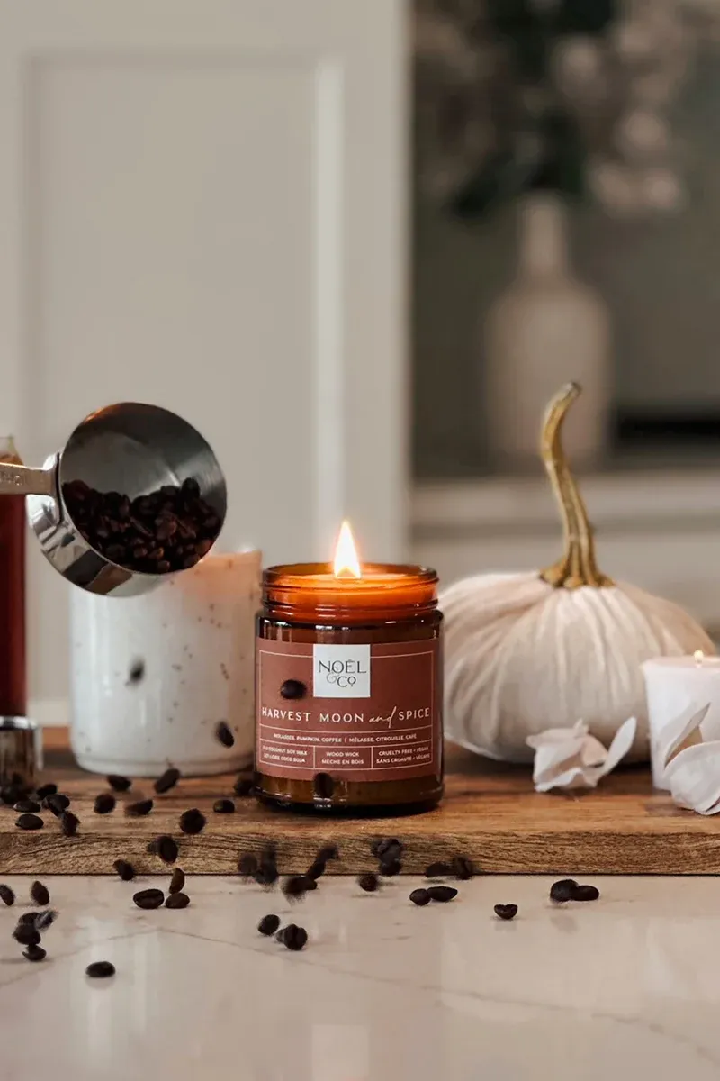 Harvest Moon and Spice Candle- Noel &amp; Co.