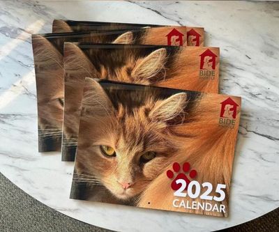 Bide Awhile Calendar 2026