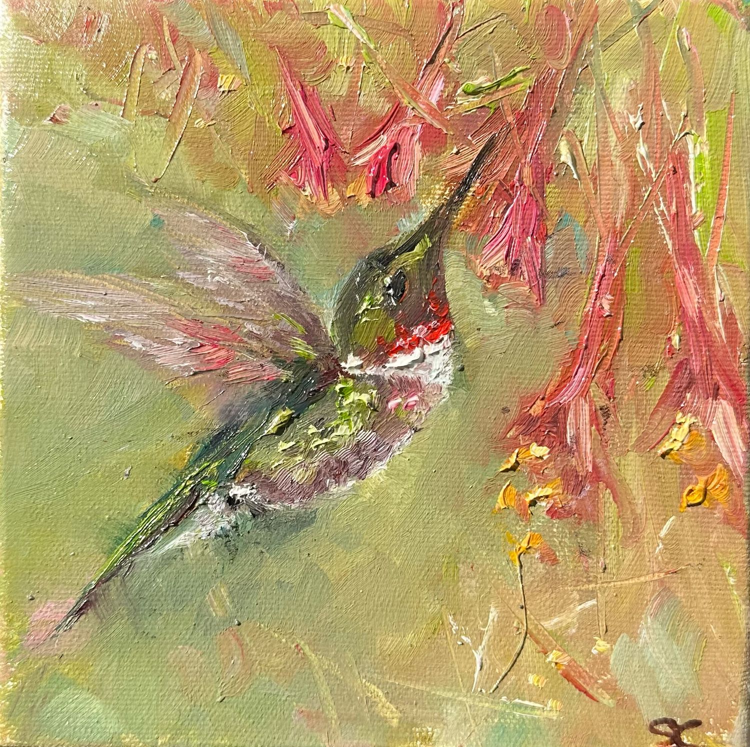 Fueling Up, Hummingbird 