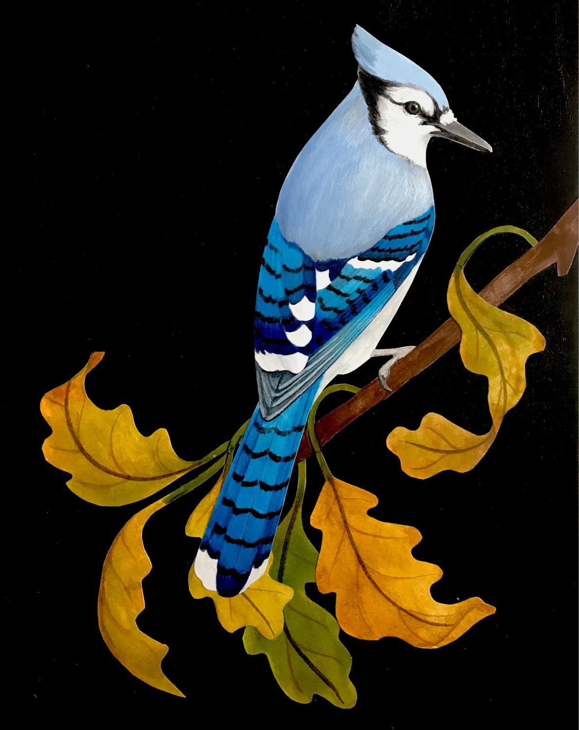Bluejay in Oak #1