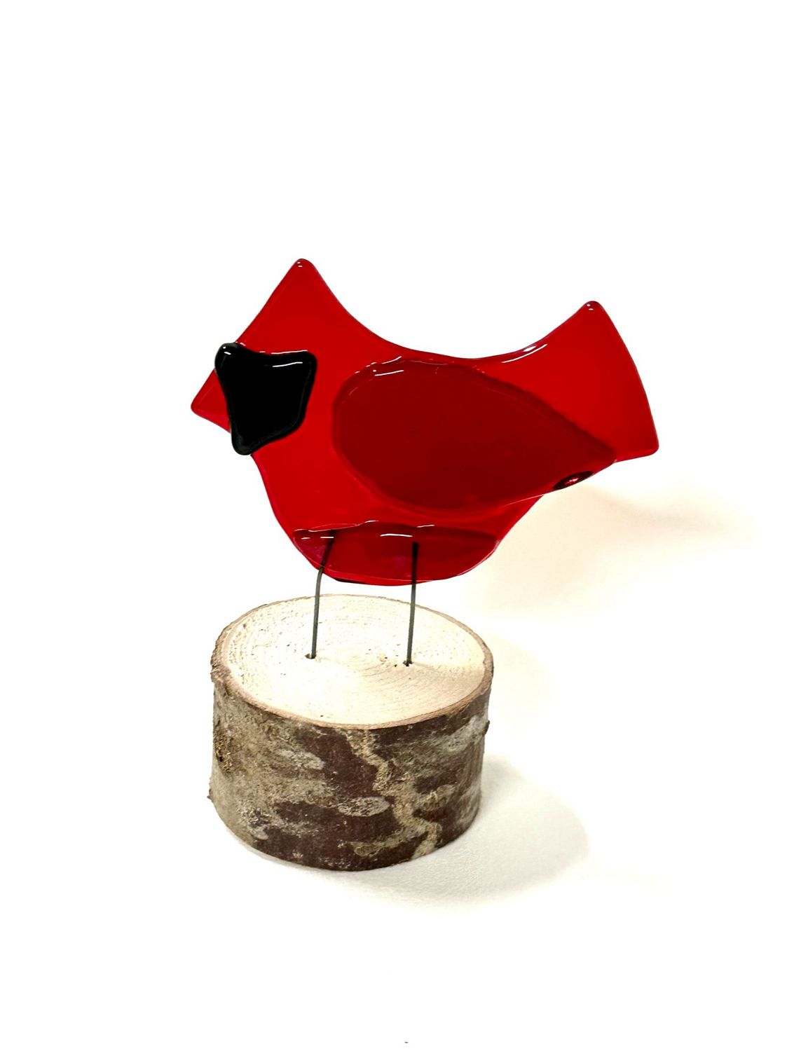 Cardinal Perched on Birch 