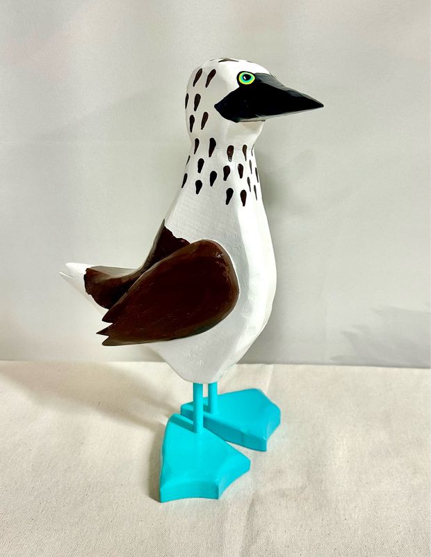 Blue Footed Boobie- Timberdoodle 