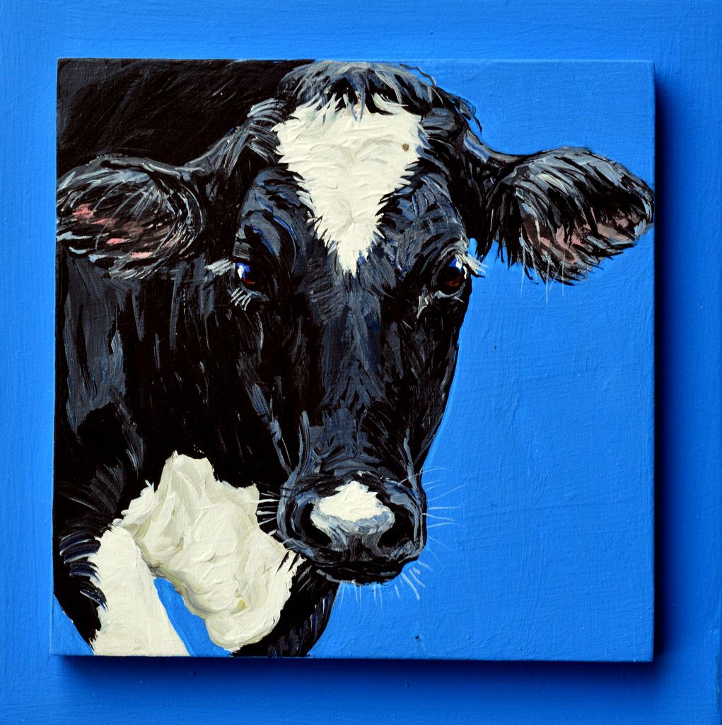 Luna the Holstein on Blue 