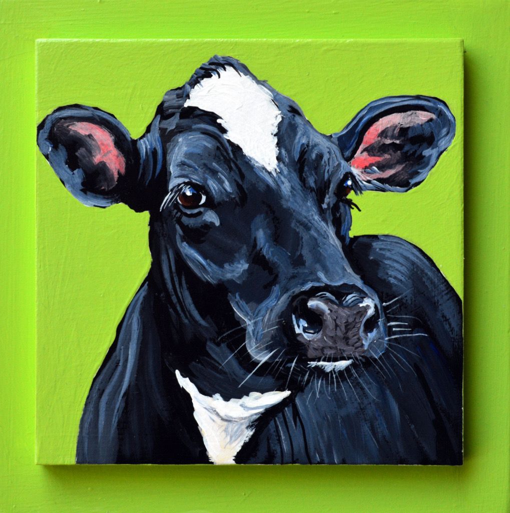 Shirley Lou the Holstein on Green 