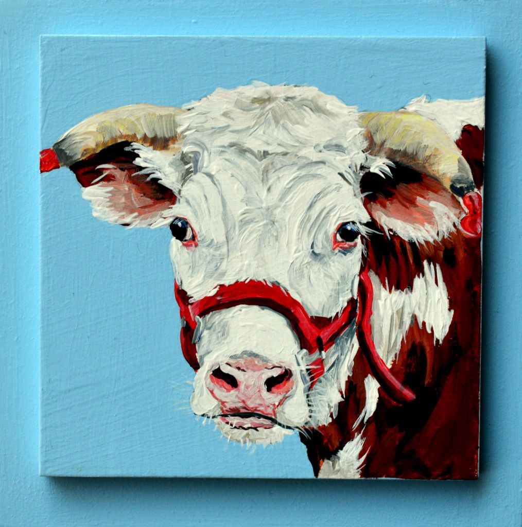 Barry the Ox on Light Blue 
