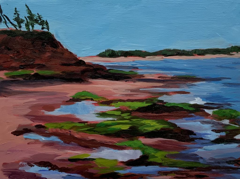 Looking Back to the Beach 