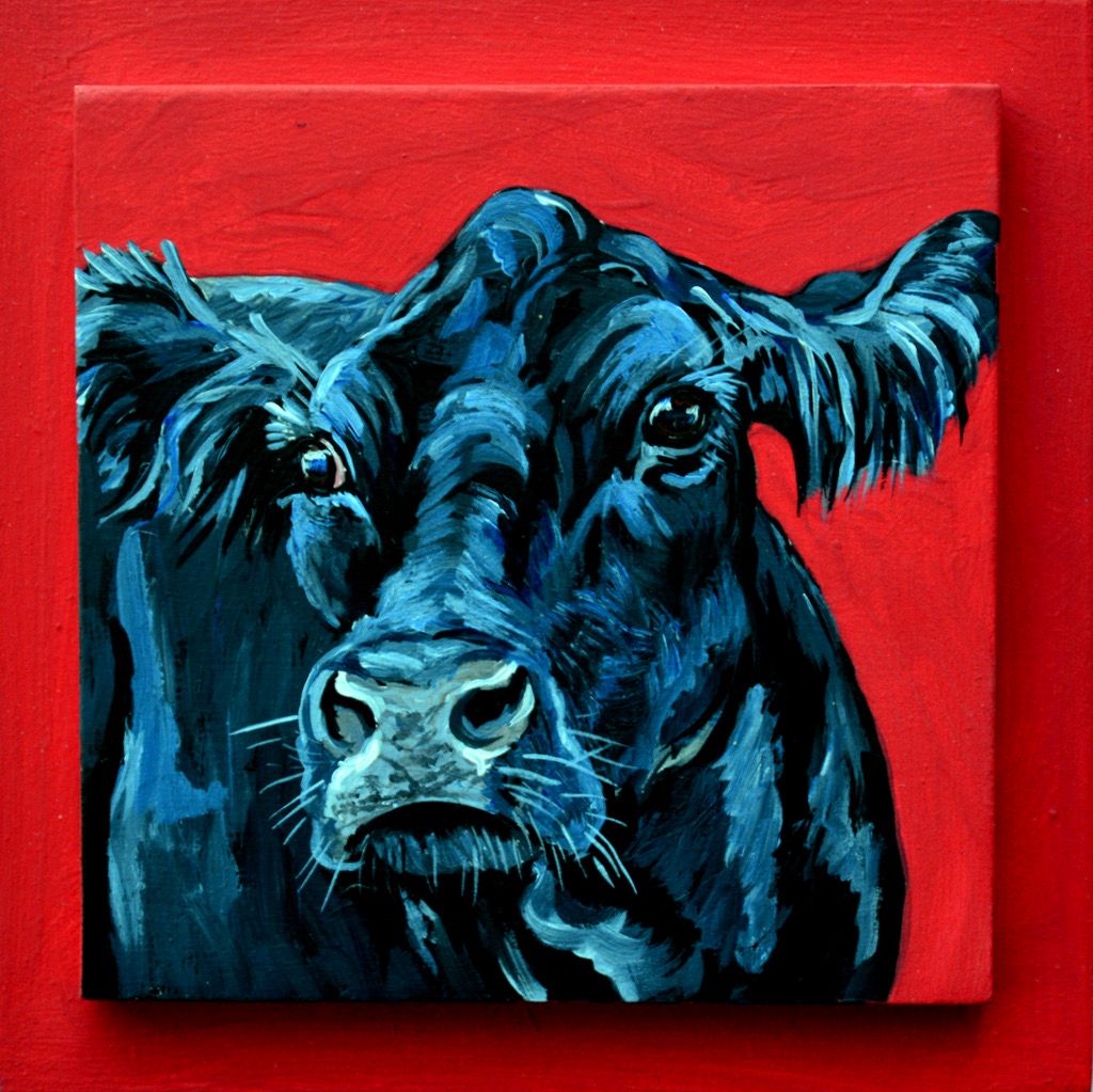 Muriel the Angus on Red 