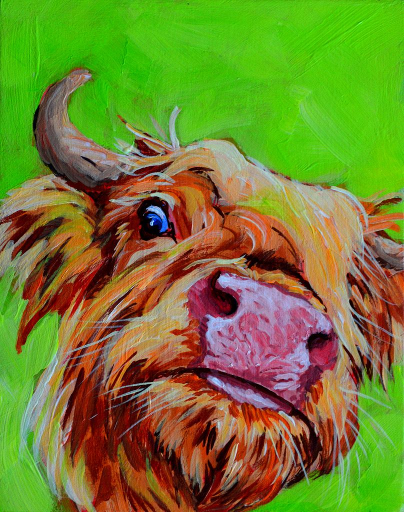 Huntley the Highland 