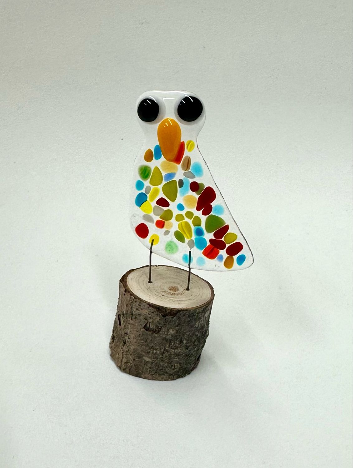 Spotted Bird - Moxy 