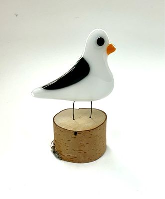 Sideways Seagull - Moxy 