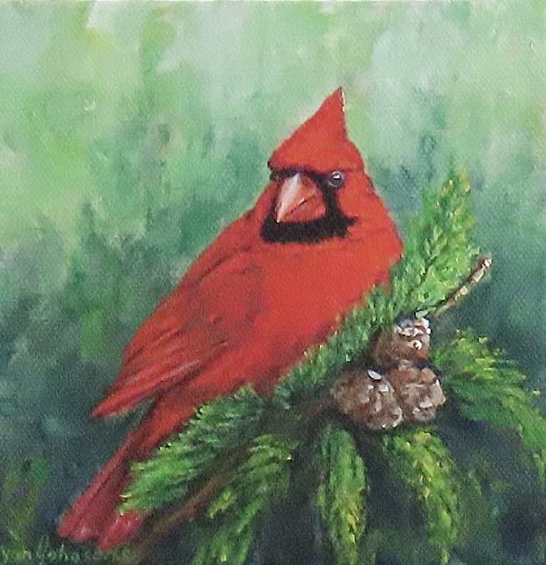There He Is!! (Northern Cardinal) 