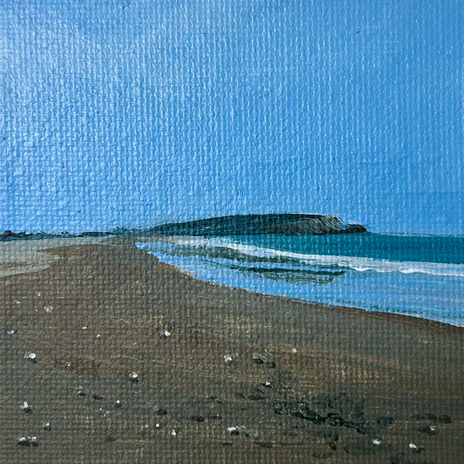A Walk at Lawrencetown Beach 
